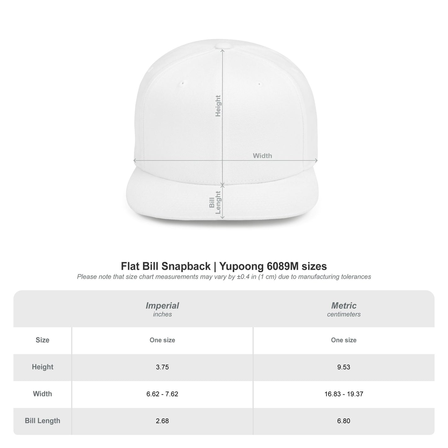 World Wide Flat Bill Snapback Hat